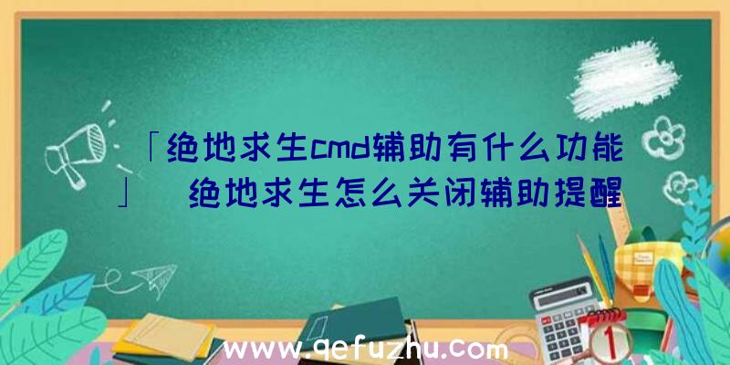 「绝地求生cmd辅助有什么功能」|绝地求生怎么关闭辅助提醒